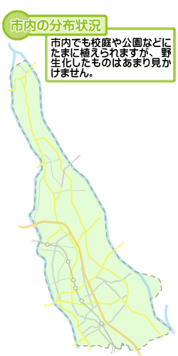 市内の分布状況の図