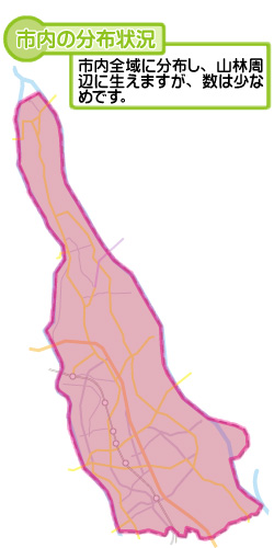 市内の分布状況の図