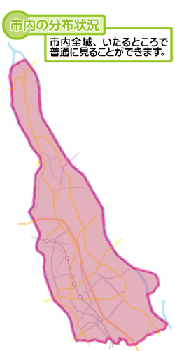 市内の分布状況の図