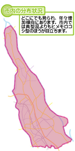 市内の分布状況の図