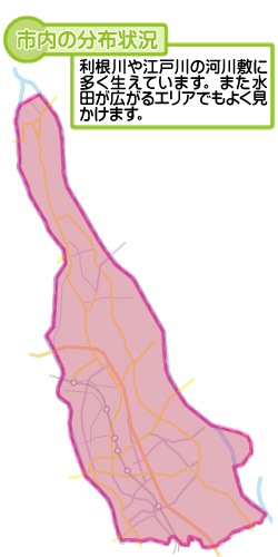 市内の分布状況の図