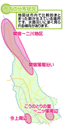 市内の分布状況の図