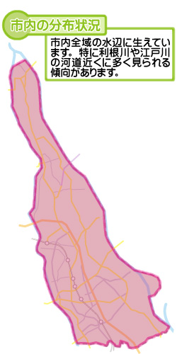 市内の分布状況の図