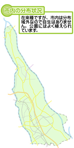 市内の分布状況の図