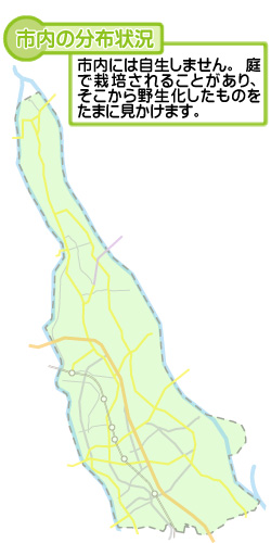 市内の分布状況の図