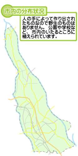 市内の分布状況の図