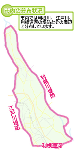 市内の分布状況の図