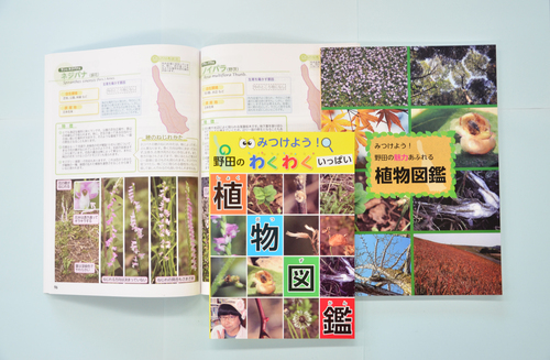 植物図鑑の写真