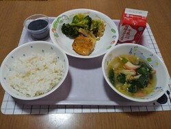 発芽玄米ごはん、のだっこチキン（もろみソース）、ブロッコリーのおかか和え、白菜のスープ、黒ごまプリン等給食写真
