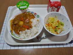 手作りカレー、いかメンチ、コーンサラダ等給食写真