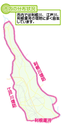 市内の分布状況の図