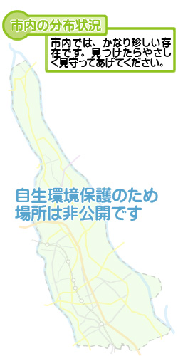 市内の分布状況の図