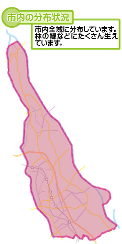 市内の分布状況の図