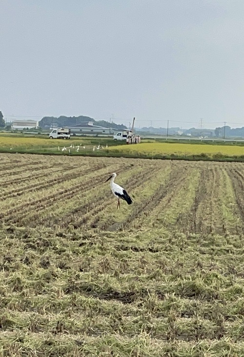 令和3年9月11日　箱森氏撮影