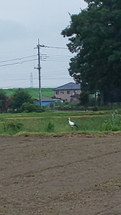 令和3年9月8日　林田氏撮影