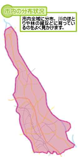 市内の分布状況の図