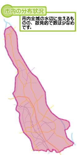 市内の分布状況の図