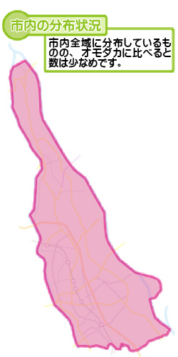 市内の分布状況の図