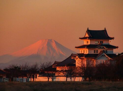 朝焼けの城と富士