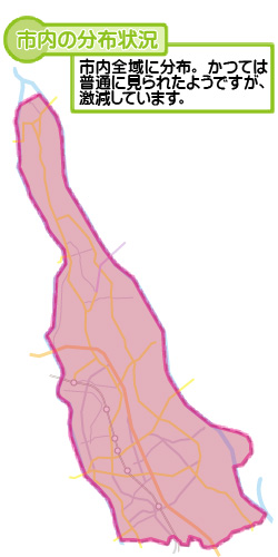 市内の分布状況の図