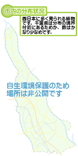 市内の分布状況の図