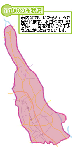 市内の分布状況の図