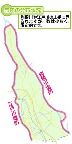 市内の分布状況の図