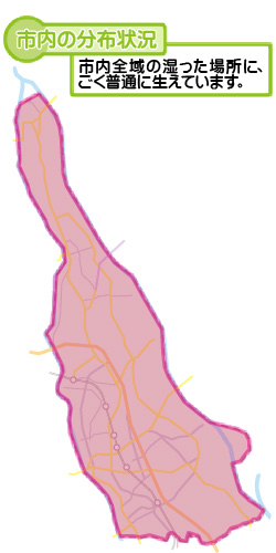 市内の分布状況の図