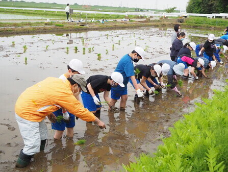 田植え風景