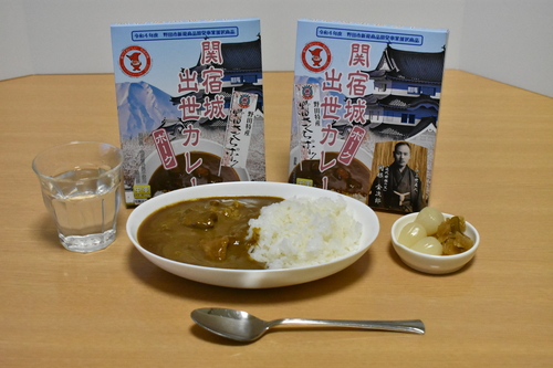 関宿城出世カレー（野田さくらポーク）