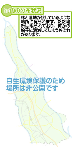 市内の分布状況の図