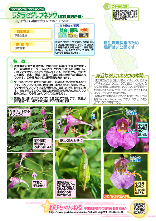 植物名の図鑑