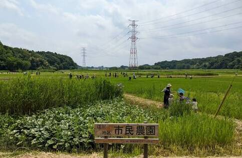 江川地区市民農園風景