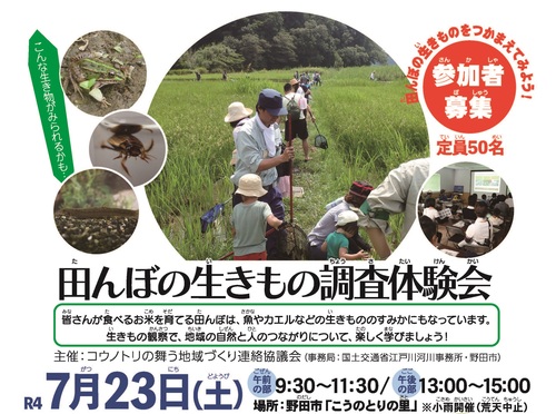 田んぼの生きもの調査体験会を野田市こうのとりの里で開催