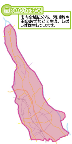 市内の分布状況の図