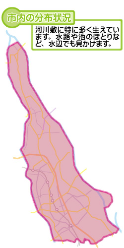 市内の分布状況の図