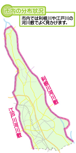 市内の分布状況の図
