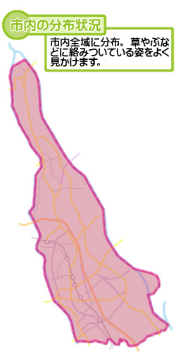 市内の分布状況の図