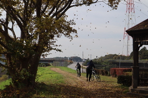 サイクリング風景