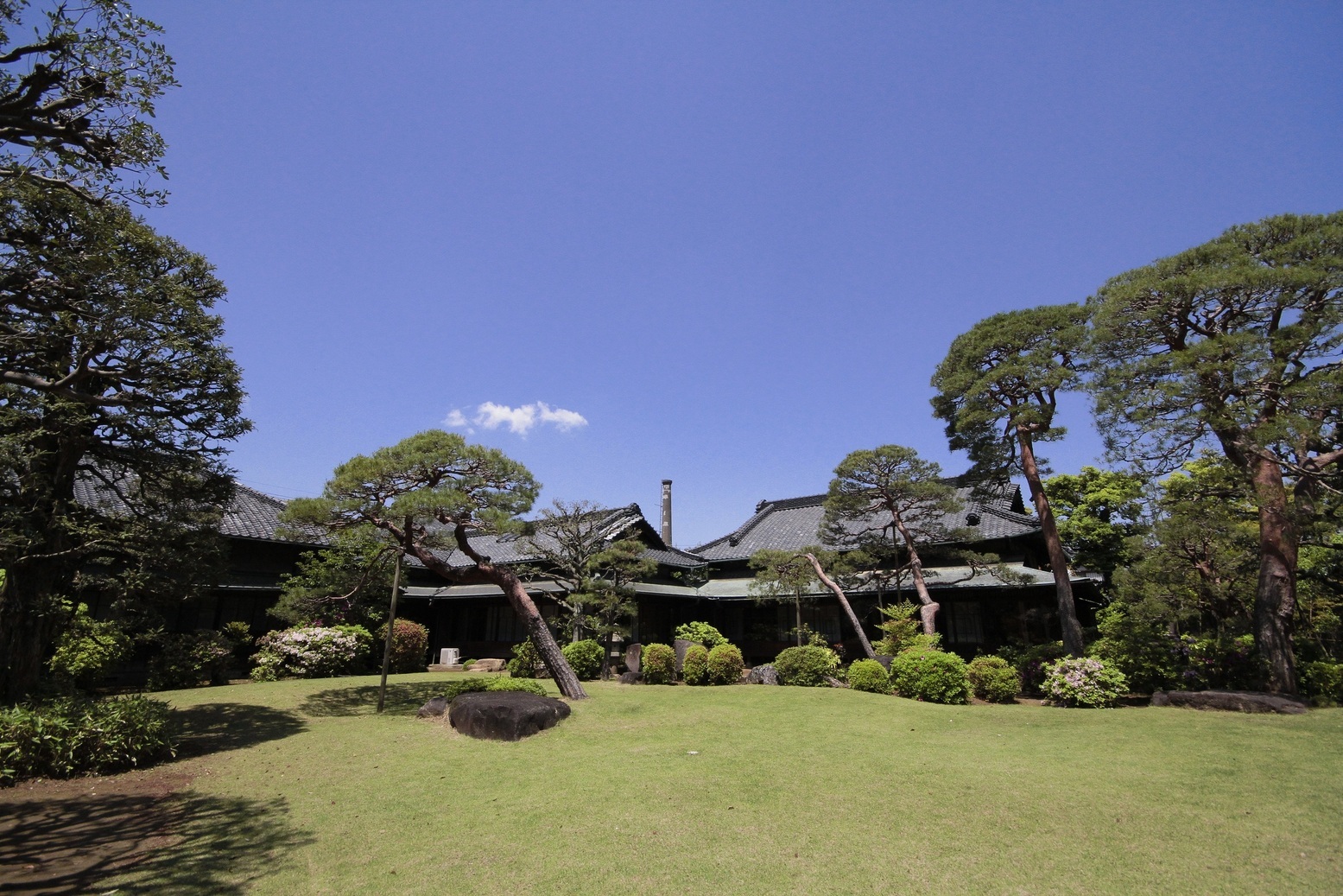 野田の夏