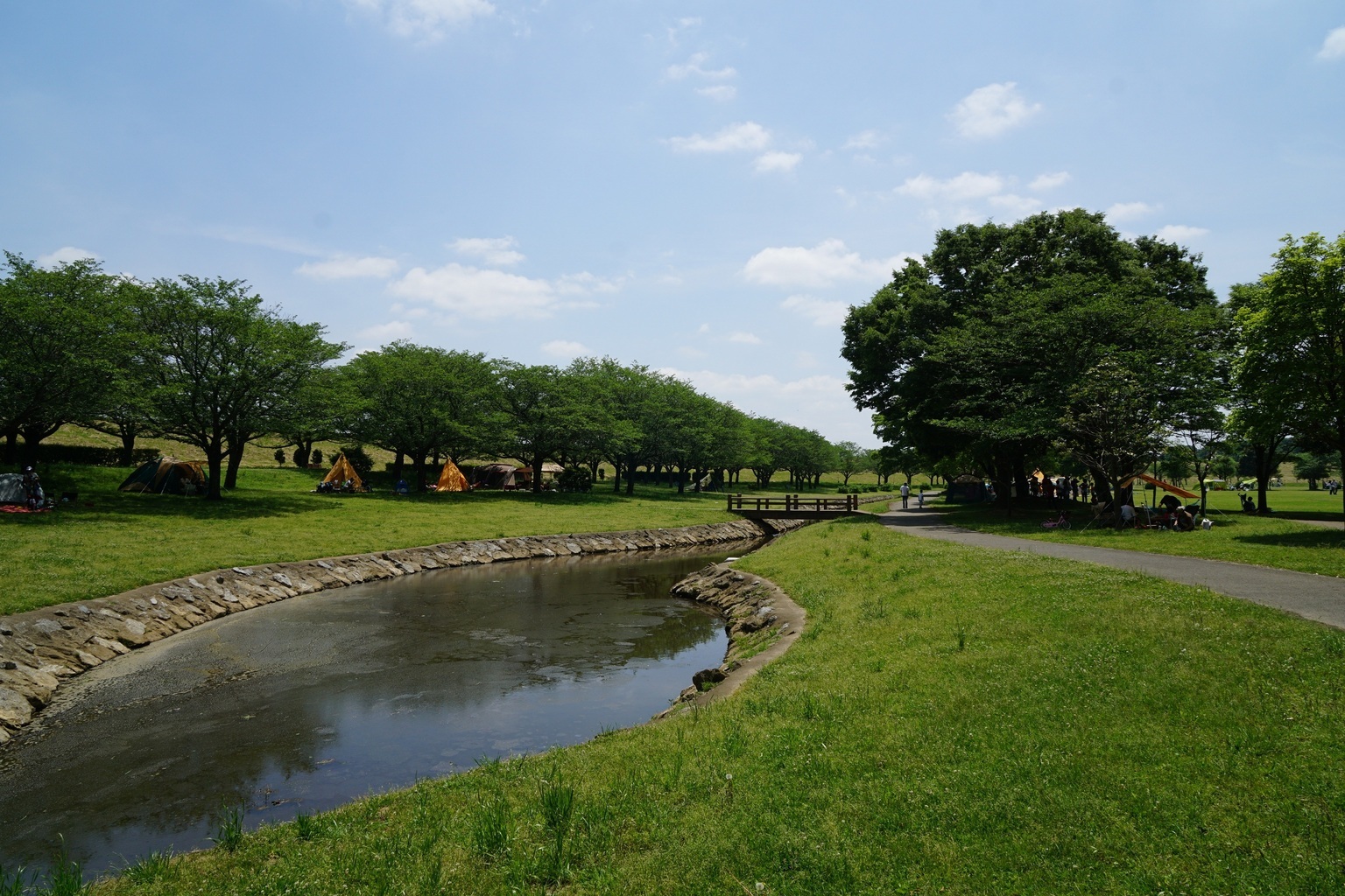 野田の夏