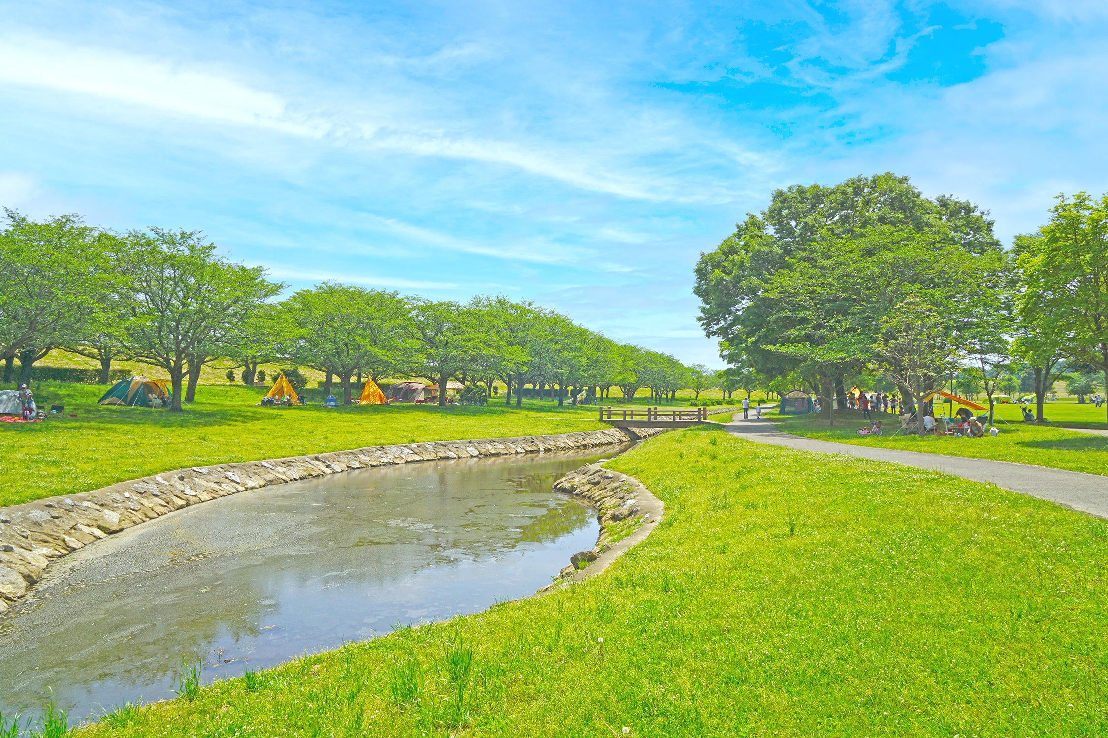 写真：野田市の風景1