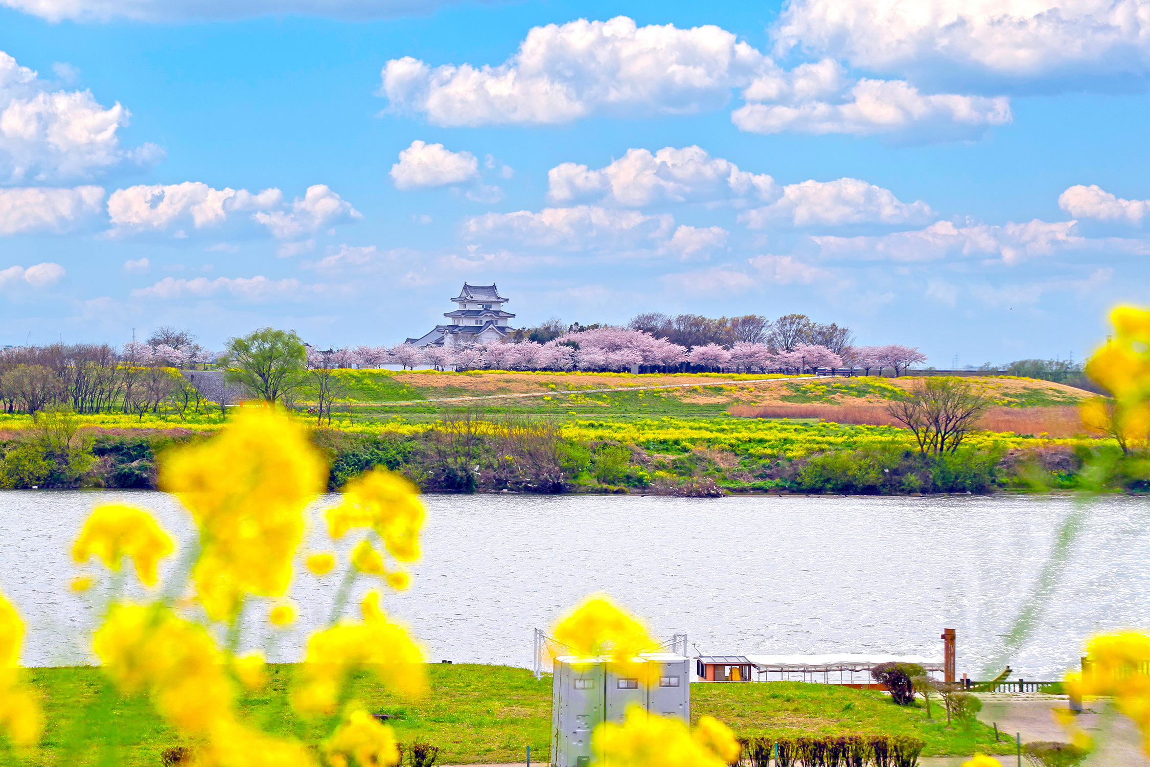 写真：野田市の風景4