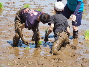 泥に足を取られる児童たち