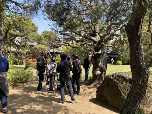 野田市市民会館の庭園