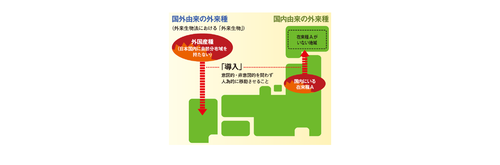 環境省　日本の外来種対策　侵略的な外来種より抜粋