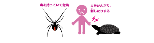 環境省　日本の外来種対策　侵略的な外来種より抜粋