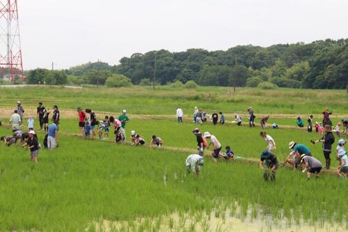 市民農園