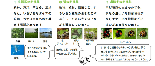 3つの多様性