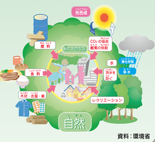 環境省では、自然に関して、それぞれの地域に応じた自然環境や生物多様性の保全、生物の保護などの対策を進めています